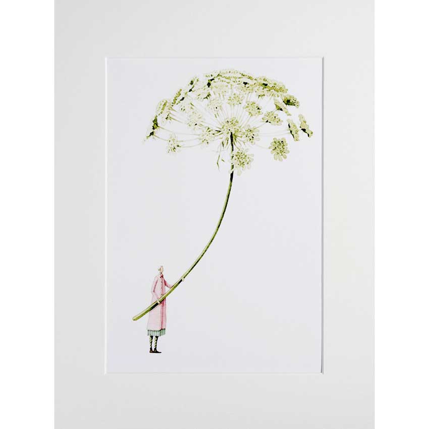 Art Print „Green Ammi“ von Laura Stoddart – zarte Ammi-Blüte in Aquarelloptik, gehalten von einer kleinen Figur, hochwertiger Giclée-Kunstdruck