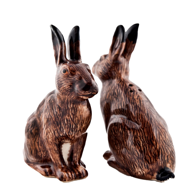 Hasen - die Salz und Pfeffer Streuer von Quail Ceramics