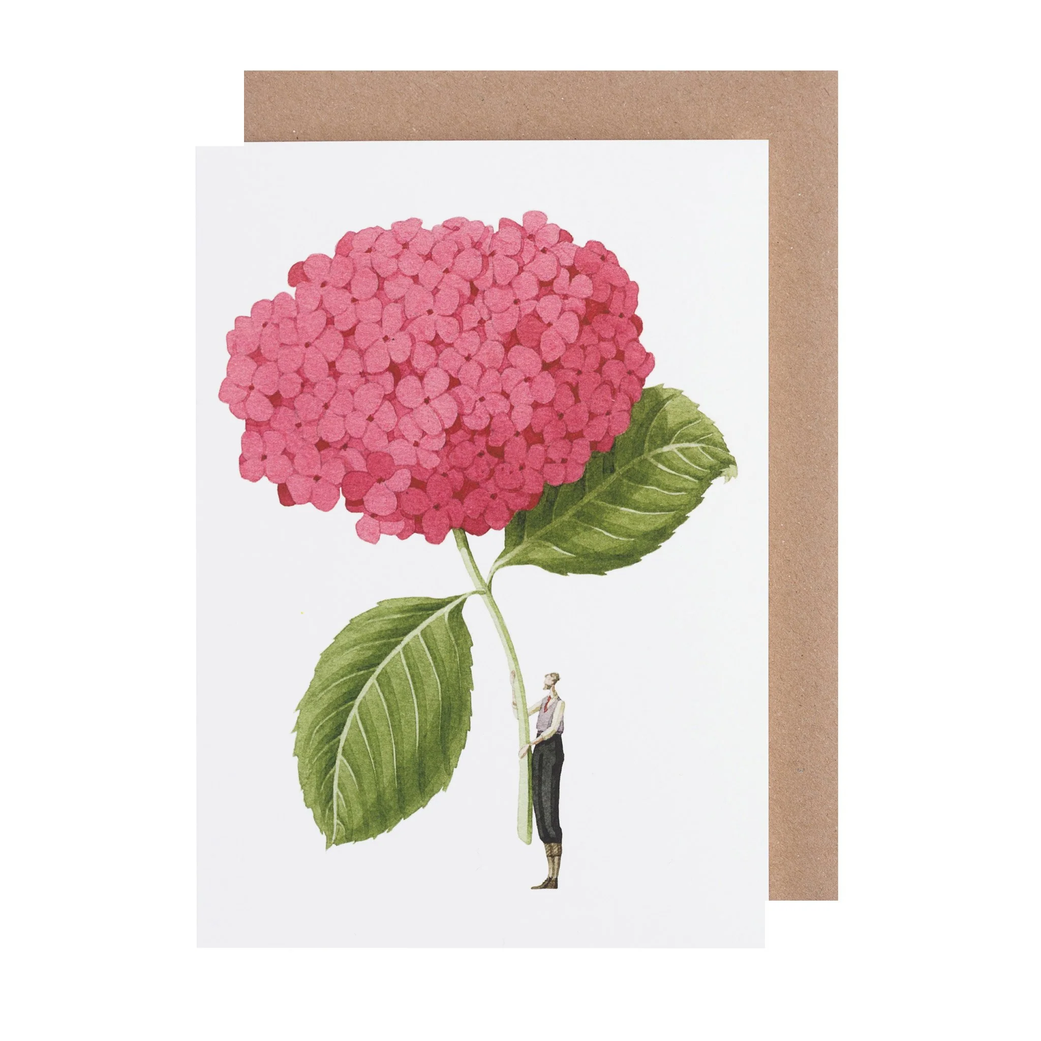Grußkarte "PINK HYDRANGEA" von Laura Stoddart