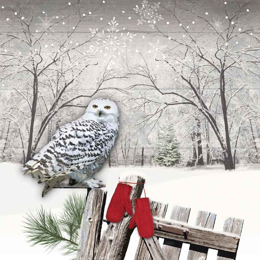 "Wintry Owl", große Papierservietten von PPD