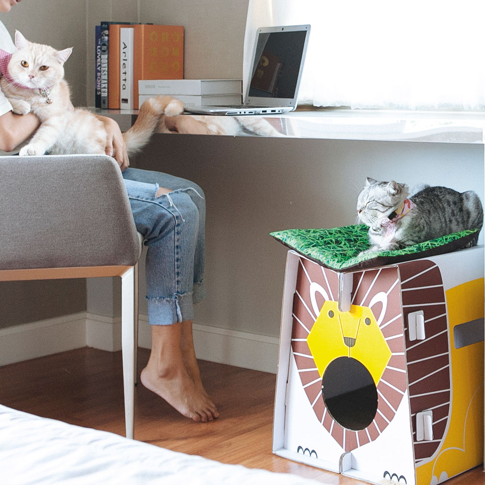 Safari Katzenhaus „Löwe“ von KAFBO – stabiles Katzenhaus aus Karton mit Löwenmotiv. Perfekt zum Spielen, Schlafen und Entspannen für Katzen – nachhaltig und dekorativ.