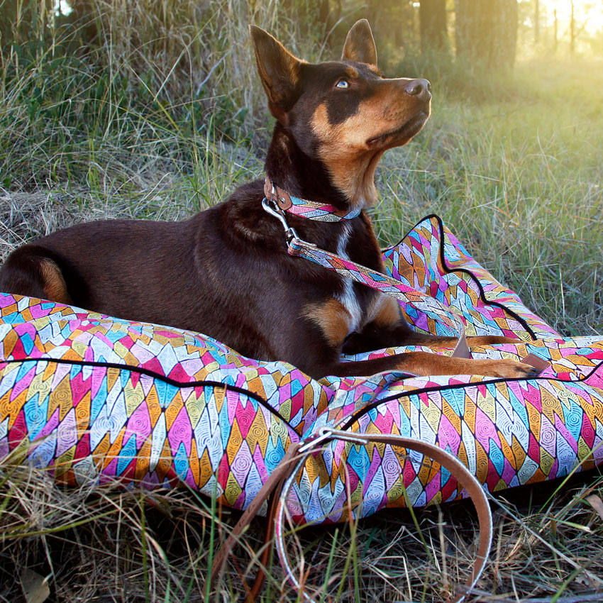 Outback Tails – Hund auf farbenfrohem Hundebett „Sand Dunes“ mit passender Leine, inspiriert von Aboriginal Art. Stilvolle Tieraccessoires mit australischem Charme und nachhaltigem Design.
