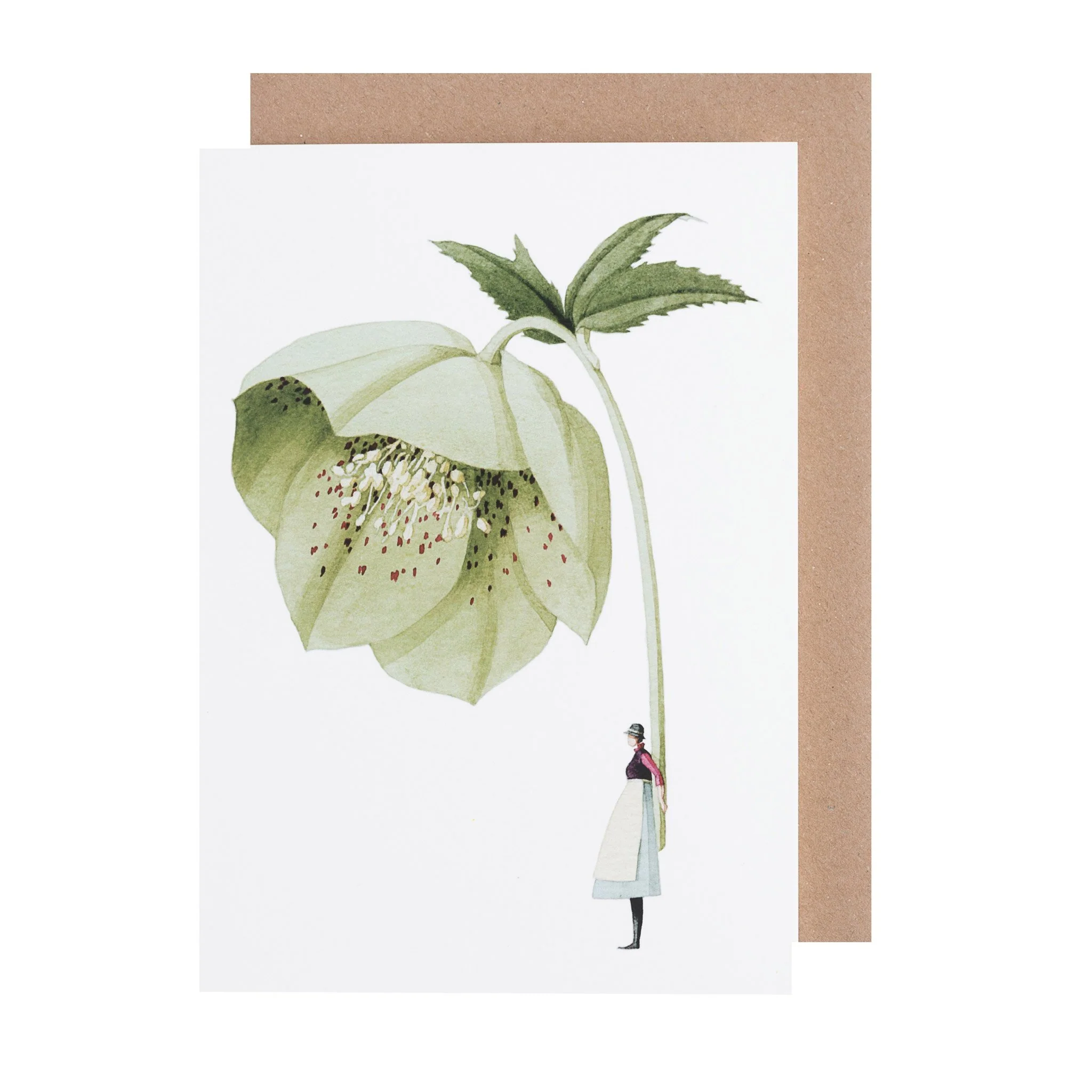 Grußkarte "HELLEBORE" von Laura Stoddart