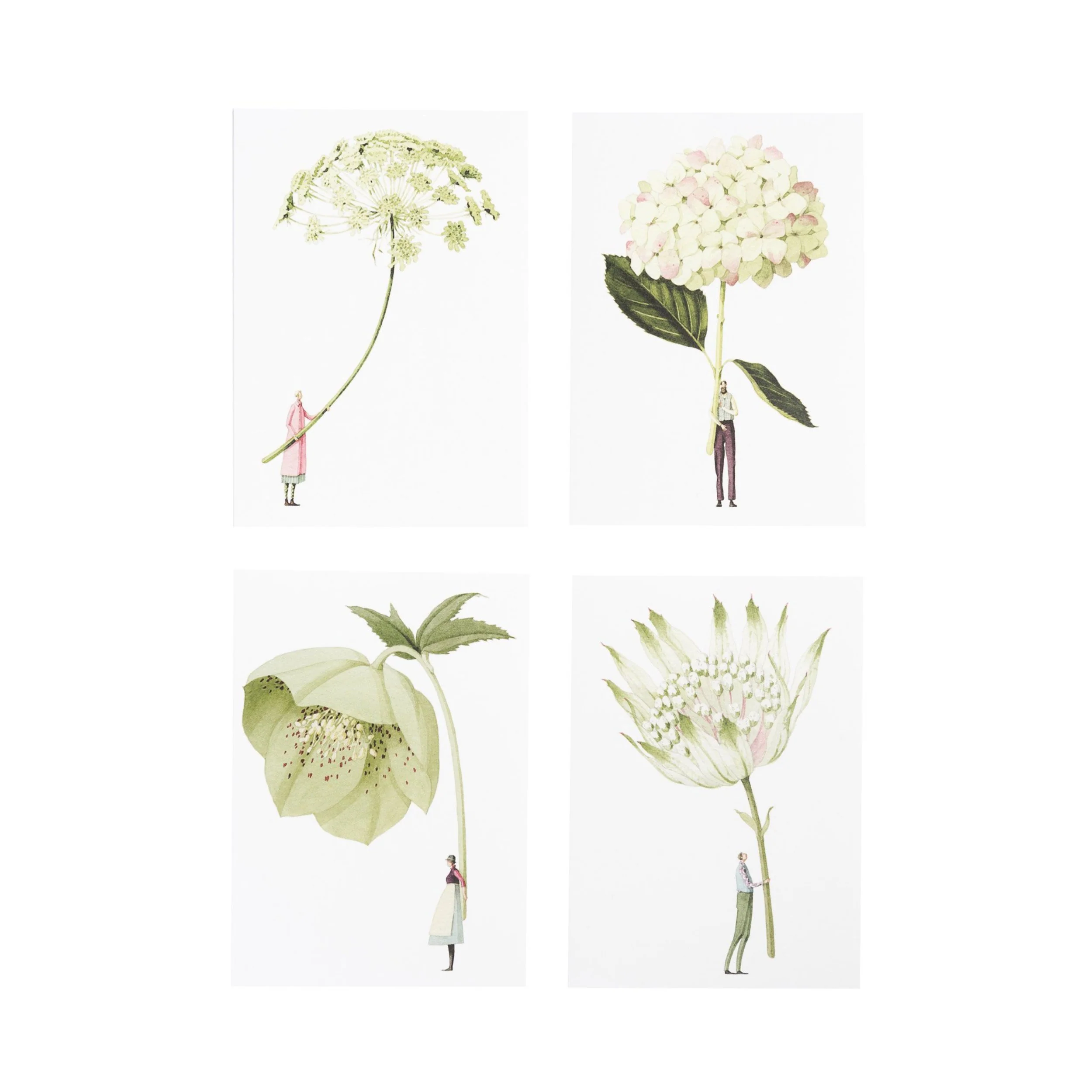 Grußkartenset "IN BLOOM 3" von Laura Stoddart