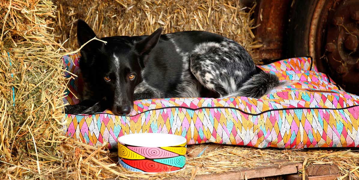 Outback Tails Hundebett „Sand Dunes“ – gemütliches Hundebett mit farbenfrohem Aboriginal-Art-Muster. Nachhaltiges Design aus Australien für stilbewusste Tierfreunde.