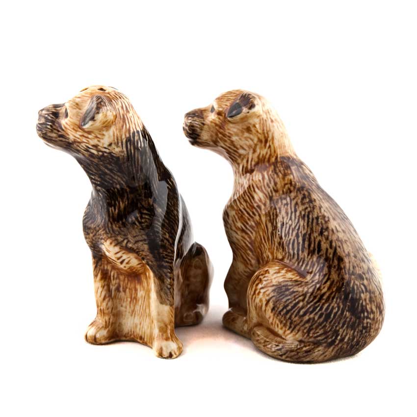 Border Terrier - die Salz und Pfeffer Streuer von Quail Ceramics 