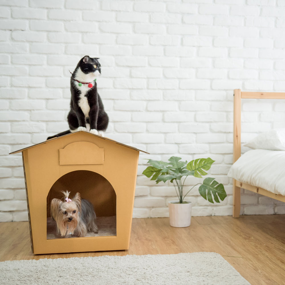 ECO Pet House von KAFBO – nachhaltiges Haustierhaus aus Karton für Katzen und kleine Hunde. Robustes Design zum Spielen, Schlafen und Entspannen im modernen Zuhause.