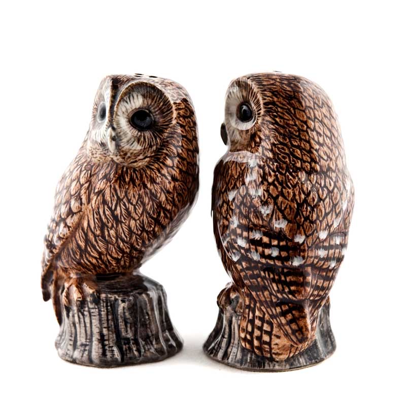 Tawny Owl - die Salz und Pfeffer Streuer von Quail Ceramics 