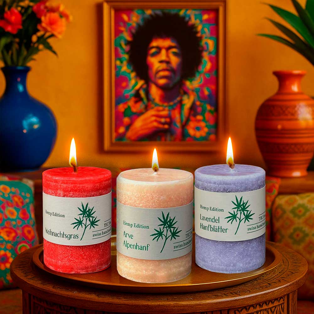 Drei farbige Duftkerzen der Hemp Edition mit den Düften Weihnachtsgras, Arve Alpenhanf und Lavendel Hanfblätter stehen auf einem Tisch. Dahinter farbenfrohe Dekoration mit Vasen und Wandbild.