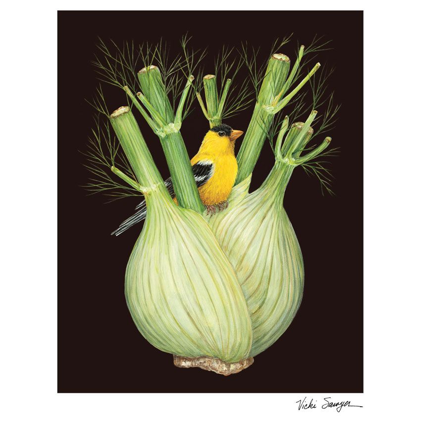 Art Print „Fennel Finch“ von Vicki Sawyer – gelber Fink in Fenchelknolle, hochwertiger Kunstdruck auf Baumwollpapier