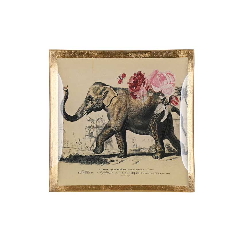 Love Plates - Glasteller "Elefant" von Gift Company