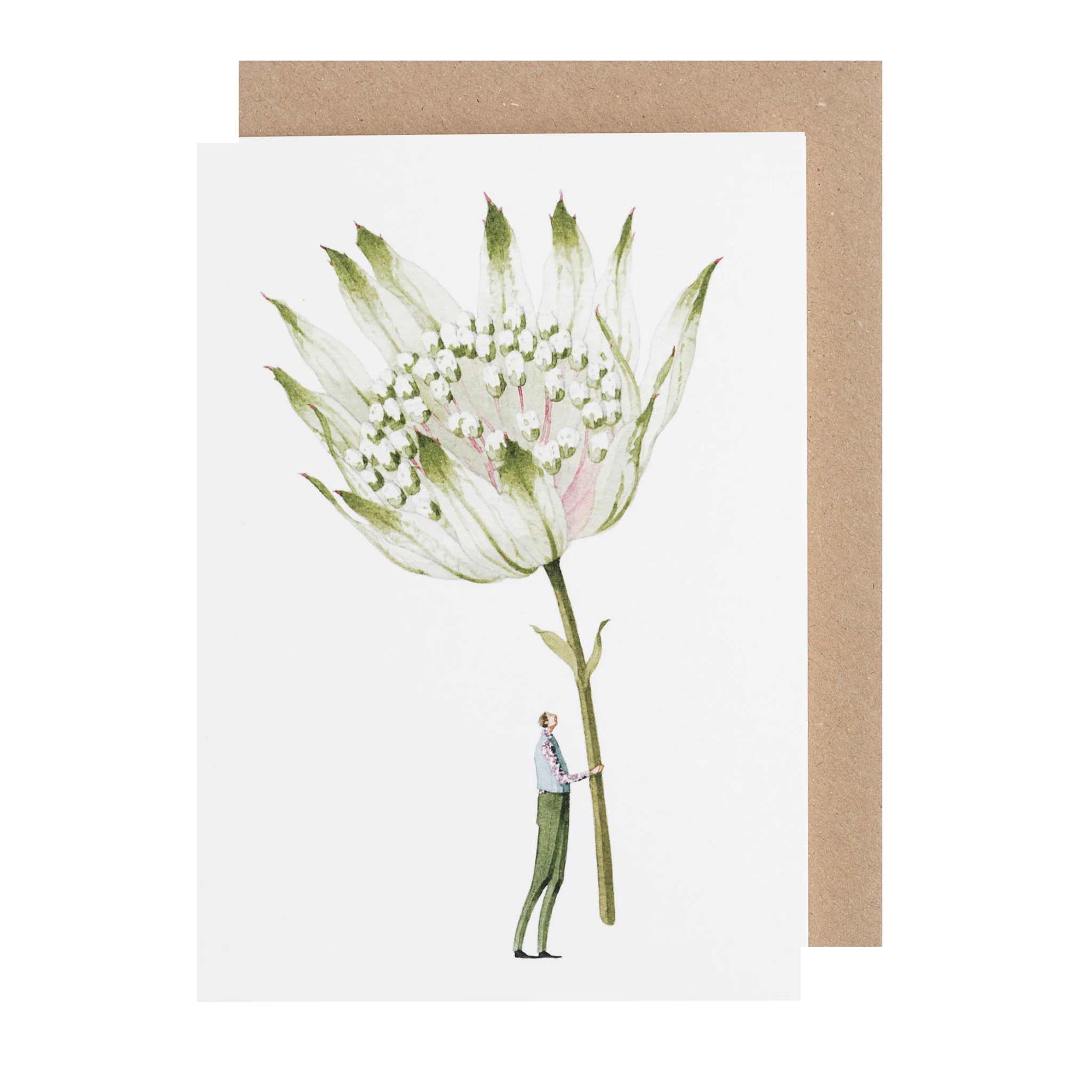Grußkarte "ASTRANTIA" von Laura Stoddart