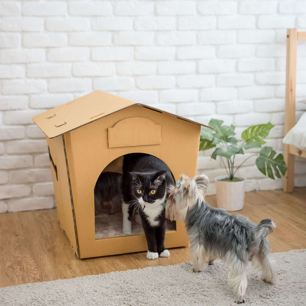 ECO Pet House von KAFBO – nachhaltiges Haustierhaus aus Karton für Katzen und kleine Hunde. Umweltfreundlich, stabil und gemütlich als Rückzugsort und Spielhaus.