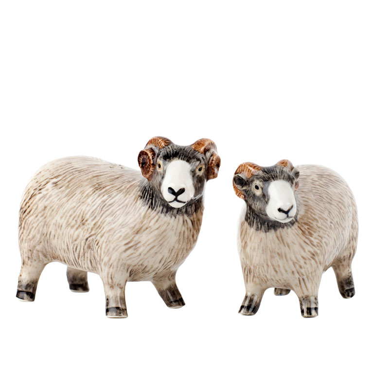 Swaledale Schafe - die Salz und Pfeffer Streuer von Quail Ceramics