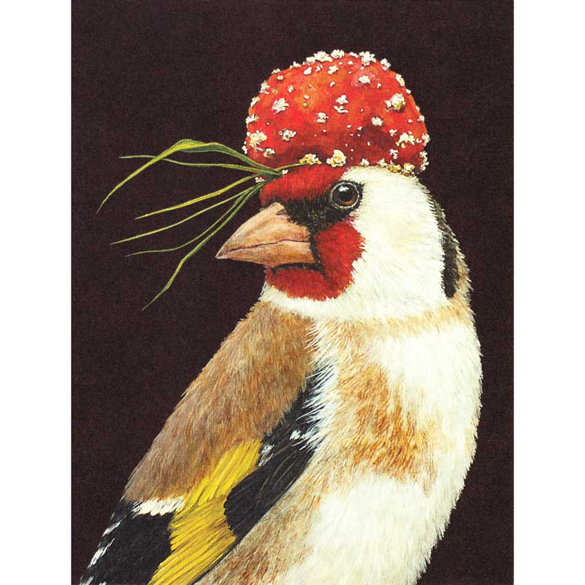 Grußkarte "CHAUNCY THE GOLDFINCH" von Hester & Cook 