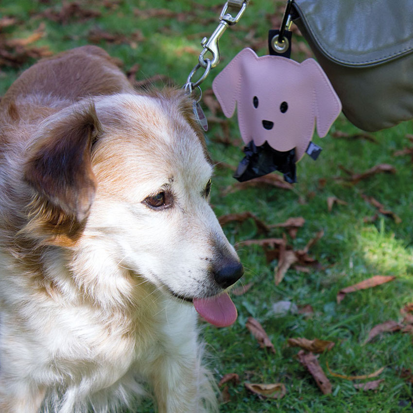 Gassibeutelspender für Hunde – nachhaltiger Kotbeutelhalter im süßen Design, ideal für Spaziergänge, leicht zu befestigen und hygienisch.