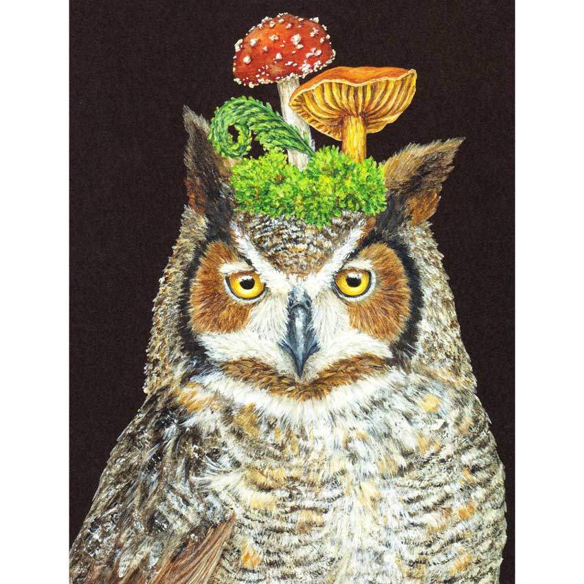 Grußkarte "WOODY THE OWL" von Hester & Cook 