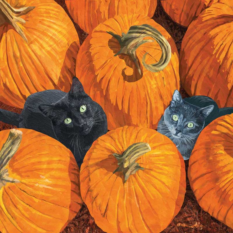 "Pumpkin Patch Cats", große Papierservietten von PPD
