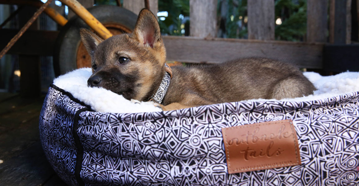 Outback Tails – Design trifft Aboriginal Art: stilvolles Hundebett „Mina Mina“ mit schwarzem Aboriginal-Muster und weicher Fütterung, inspiriert von australischer Kunst und Natur.