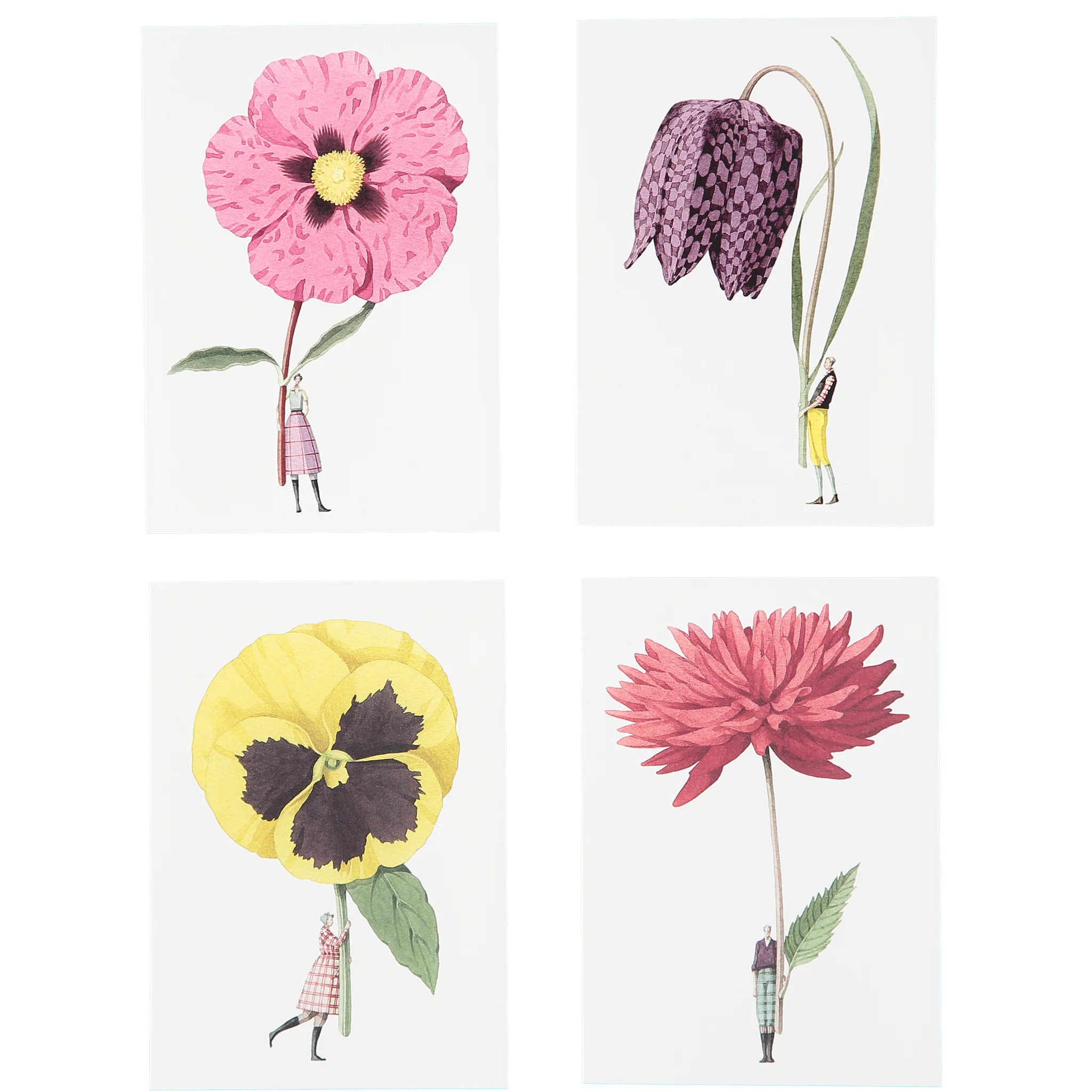 Grußkartenset "IN BLOOM 2" von Laura Stoddart