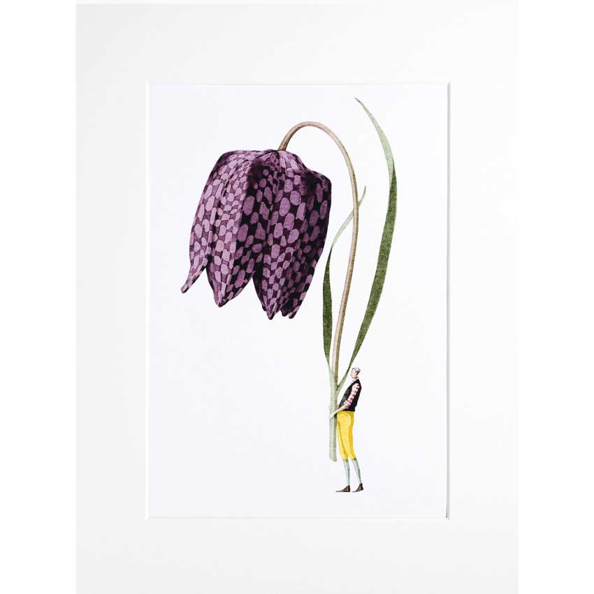 Illustration von Laura Stoddart: Eine kleine Figur in gelber Hose hält eine riesige, violett gemusterte Fritillaria-Blume mit langen grünen Blättern auf weißem Hintergrund – charmant und detailreich.