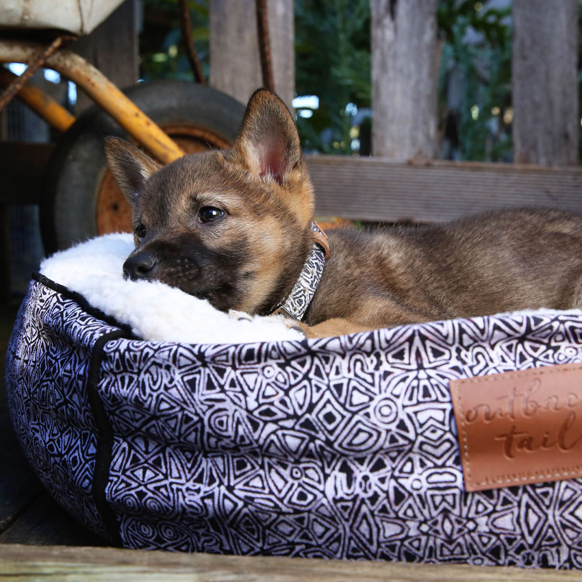 Hundebett „Mina Mina“ von Outback Tails – kuschelig, stilvoll und mit handgezeichnetem Aboriginal-Art-Muster. Für Hunde, die Komfort und Design lieben.