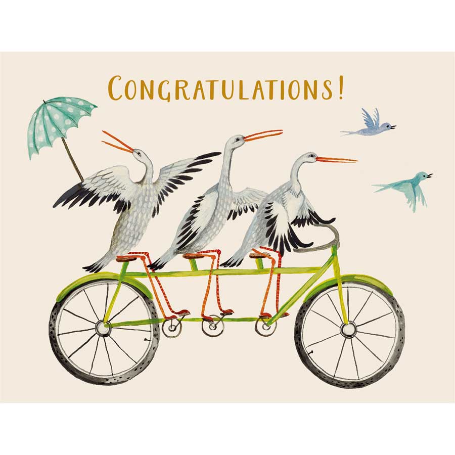 Glückwunschkarte "CONGRATULATIONS STORK TRIO" von Hester & Cook