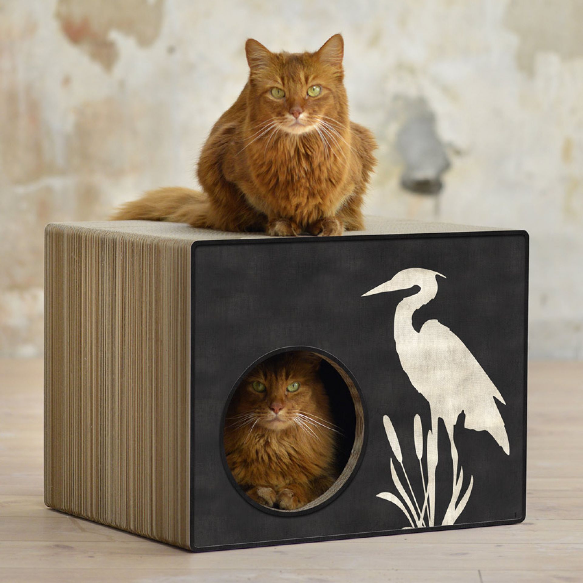 CATON Möbel für Katzen Happy Cat Shop